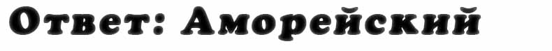 otvet_na_vopros